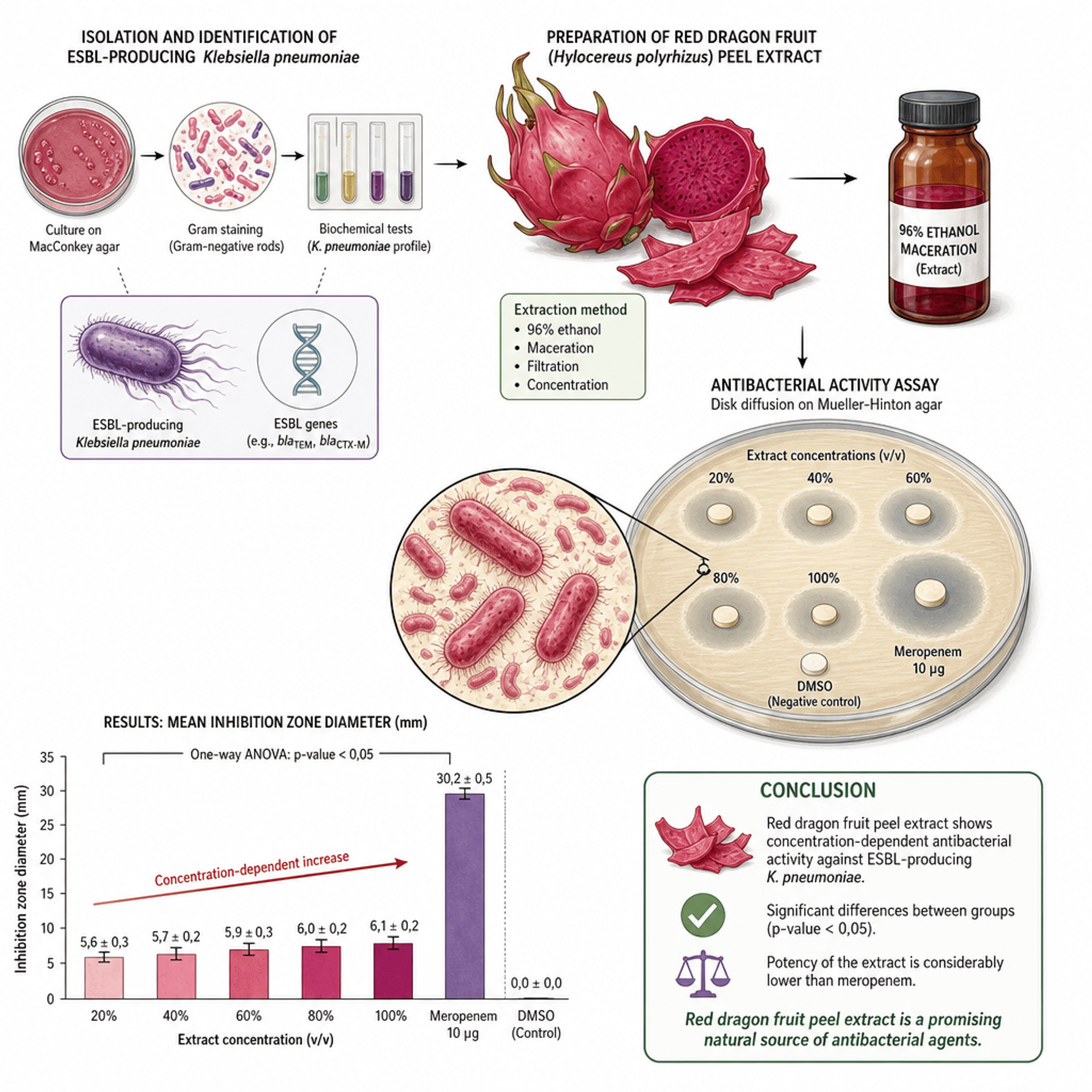 Antibacterial Extract of Red Dragon Fruit (Hylocereus polyrhizus) Peel Extract against ESBL-Producing Klebsiella pneumoniae