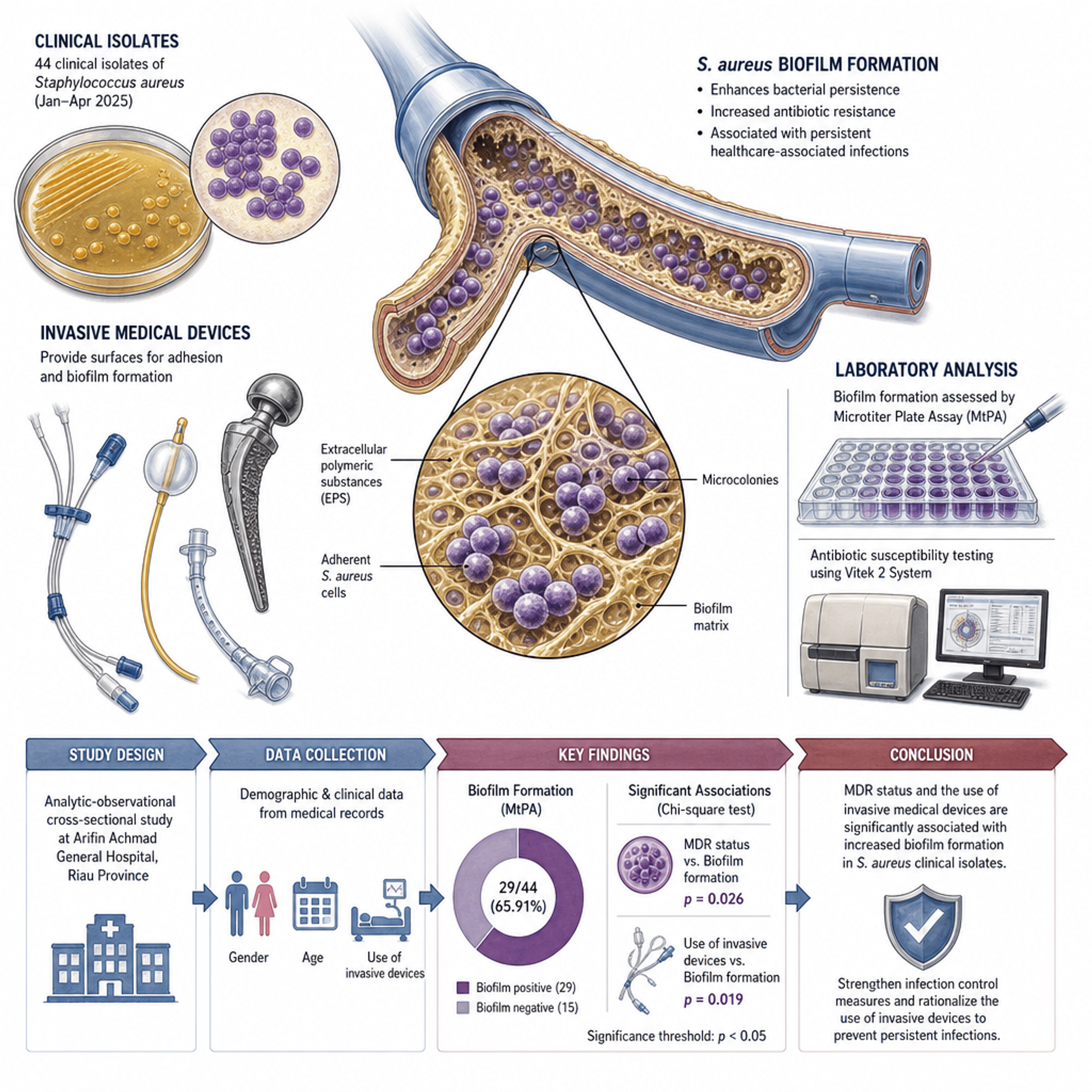 Multidrug Resistance and Invasive Medical Device Use with Staphylococcus  aureus Biofilm Formation in Riau