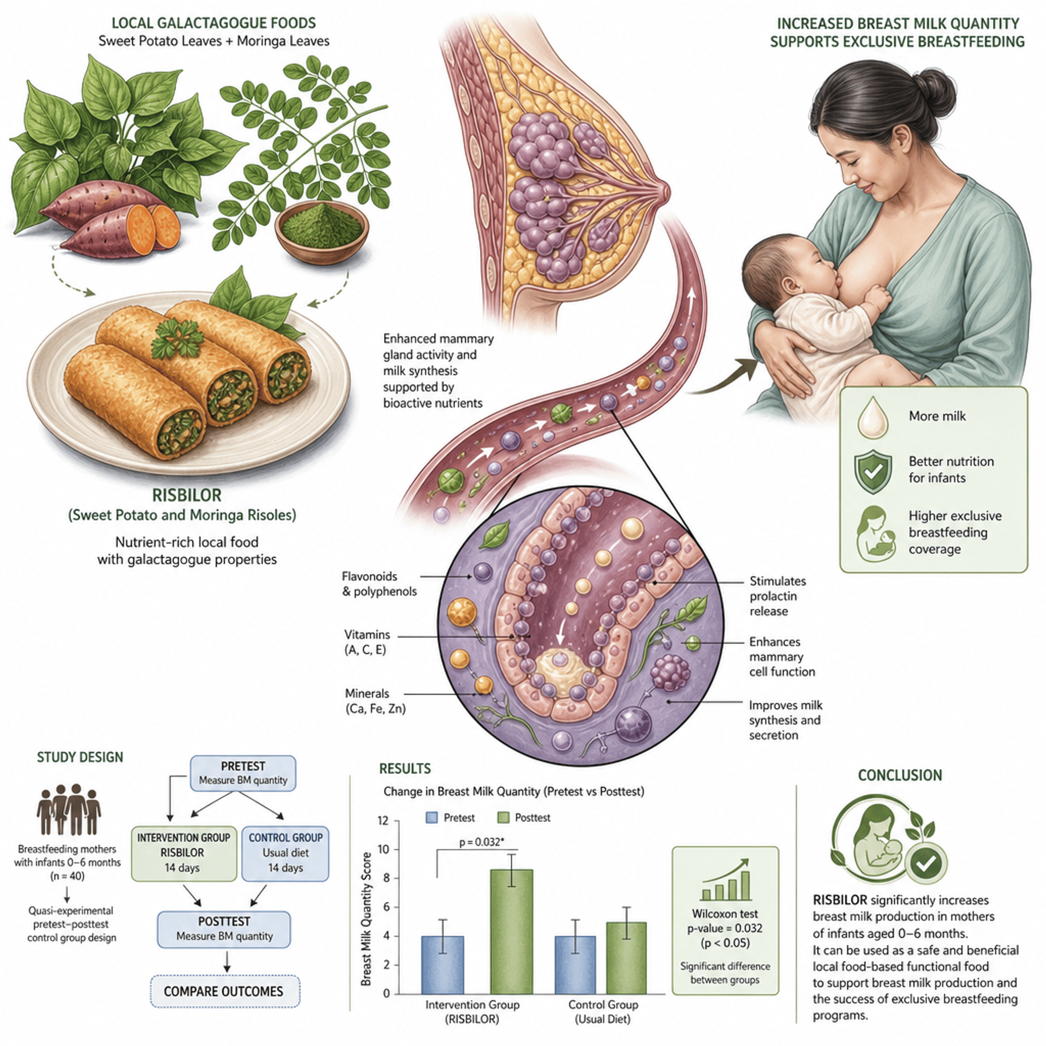 RISBILOR (Sweet Potato and Moringa Risol) in Increasing the Quantity of Breast Milk Production in Breastfeeding Mothers