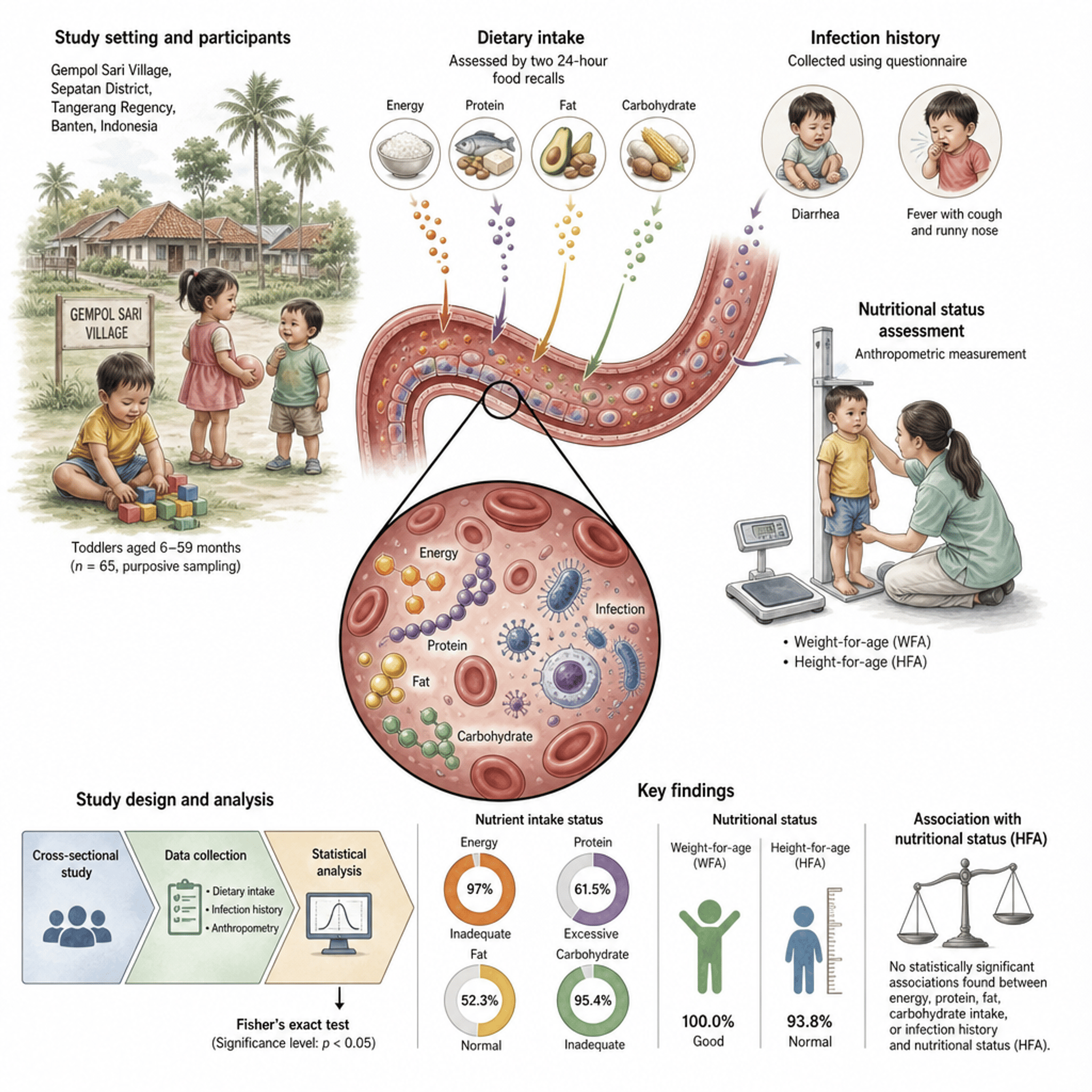 Relationship between infectious disease, energy and macronutrient intake, and nutritional status of toddlers aged 6–59 months in Gempol Sari Village, Banten
